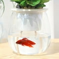 thumbnail image 4 of Self Watering Planter Pot Flower Pot With Cotton Rope For Flowers Herbs Plants, 4 of 5