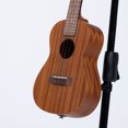 thumbnail image 5 of BeaverCreek Mahogany Concert Ukulele with Electronics, 5 of 5