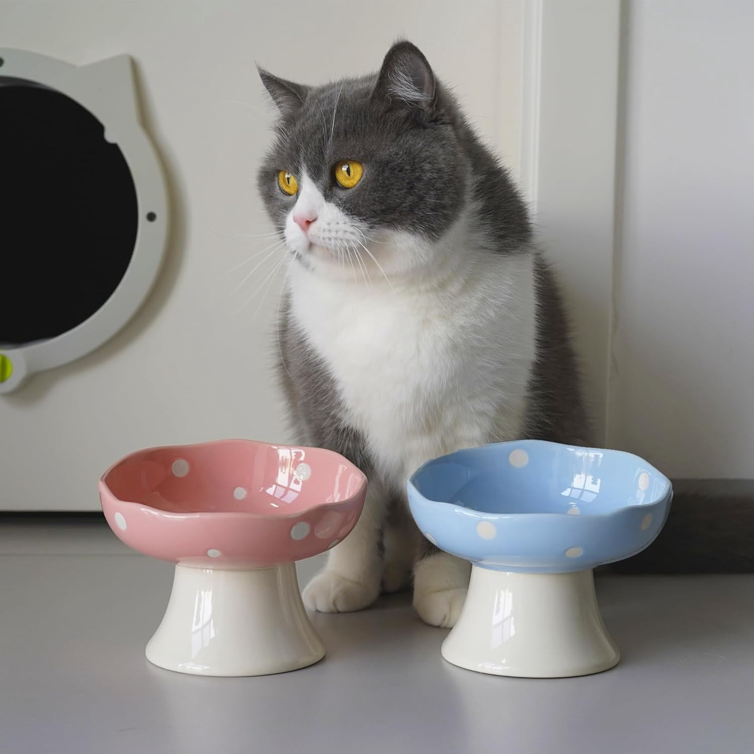 Ceramic Raised Cat Bowl, Mushroom Shaped Tilted Feeding Dish, Whisker Friendly Wide Design, Dishwasher Safe for Indoor Cats