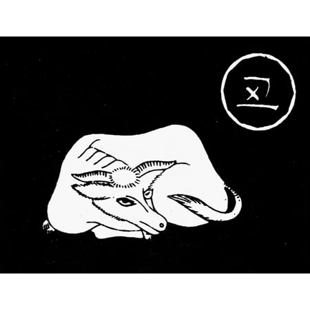 1991 Chinese Zodiac Sign | Walmart Canada