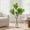 Fiddle-leaf fig-100 cm, variant on Potted Artificial Fiddle Le-af Fig Tree - Evergreen Tropical Faux Plant for Home Living Room & Office Decor