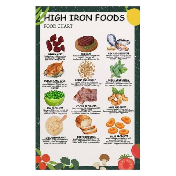 Anemia Diet and Iron Sources Guide Foods High in Iron Chart Educational Poster Inspirational Nutrition Wall Art for Home Clinic