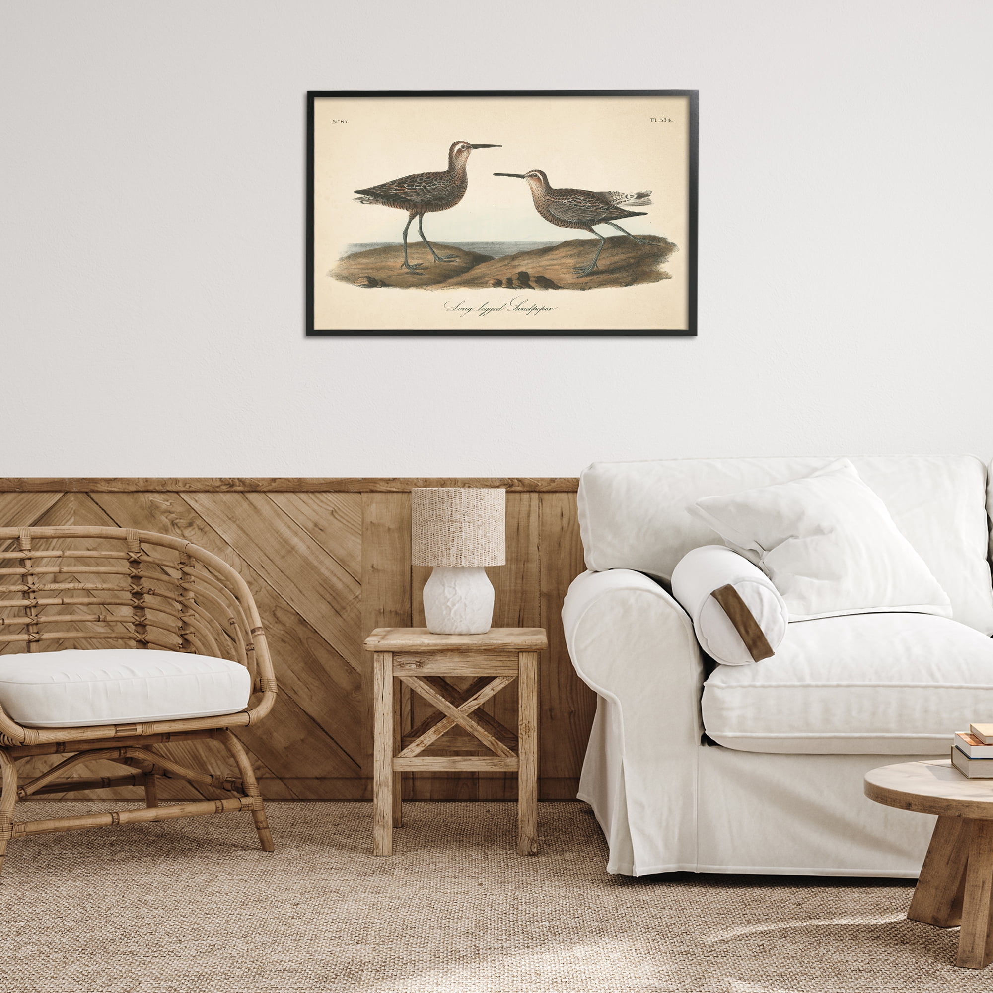 Stupell Industries Long Legged Sandpiper Animals & Insects Painting Black Framed Art Print Wall Art, 30 x 20