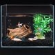 thumbnail image 2 of unbranded Rocas Decorativas Negras Para Acuario Grava Para Decorar Peceras Y, 2 of 8