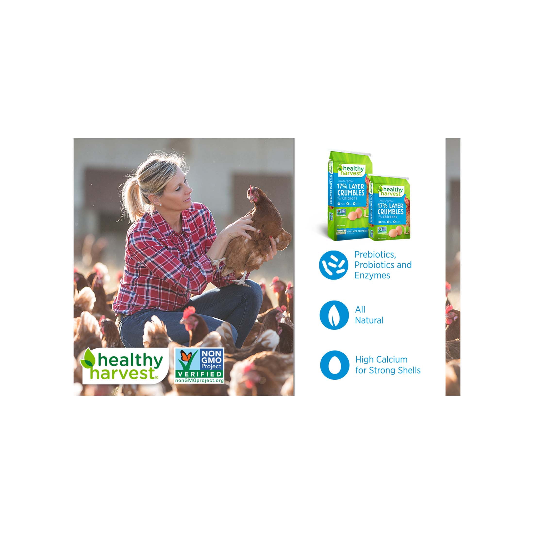 (2 pack) Healthy Harvest Non-GMO Natural Chicken Feed Pellets for Laying Hens, 40 lb Bag