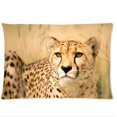 thumbnail image 1 of QIFEIHA Roaring Cheetah Leopard Pillowcase Cushion Cover Two Sides Printing Size 20x30 inch, 1 of 2