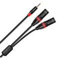 thumbnail image 2 of Cable Rannsgeer TRS estéreo de 3,5 mm a doble XLR macho, divisor en Y de 5,5 m, 2 of 2
