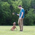thumbnail image 4 of Set de juguetes para perros Chuckit! Lanzador de bolas Ring Chaser con bola de 4,5 cm, 4 of 4