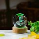thumbnail image 4 of SBSG 3D Hummingbird Gifts for Women Crystals Ball 60mm- Hummingbird Figurines Decor Glass Animals Figurine Hummingbird Stuff for Room Birthday for Bes, 4 of 4