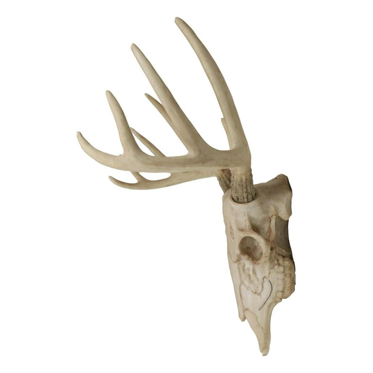 Antler il_1080xN.5839876240_237h.jpg