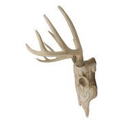 Ebros Gift Rustic Hunter 15.5” x 14.25” Deer Skull Antler Wall Pediment