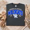 thumbnail image 2 of Leaf Vintage University Of Kentucky Wildcats Crewneck Black Graphic T-Shirt, 2 of 6