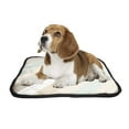 thumbnail image 2 of PKQWTM delicate blue brown beige white stripes Pet Dog Cat Bed Pee Pads Mat Cushion Potty Dogsblankets Crate Bed Kennel 28x36 inch, 2 of 3
