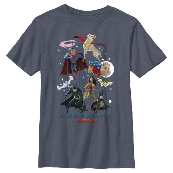Boy's DC League of Super-Pets Super Squad Graphic Tee Navy Blue Heather Small