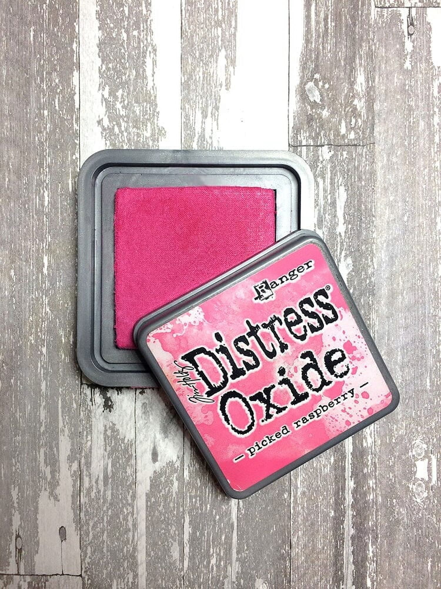 Tim Holtz Ranger Distress Oxide Ink Bundle - Four 3" x 3" Pads D : Seedless Preserves, Candied Apple, Pickled Raspberry, and Worn Lipstick