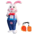 thumbnail image 4 of Disfraz inflable con conejo de Pascua, vestido de conejo de cuerpo completo para Navidad, 4 of 10