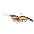 thumbnail image 3 of LiveTarget Lures Rigged Shrimp Soft Plastic, 3 of 8