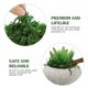 thumbnail image 2 of BRIGHTFUFU 1 paquete de terrario de musgo artificial preservado, musgo verde, centro de mesa de jardinería, decoración de bonsái (aprox. 20 g), 2 of 7