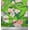 Pear Green, variant on Soimoi Green Silk Fabric Begonia & Peony Floral Print Sewing Fabric Yard 42 Inch Wide