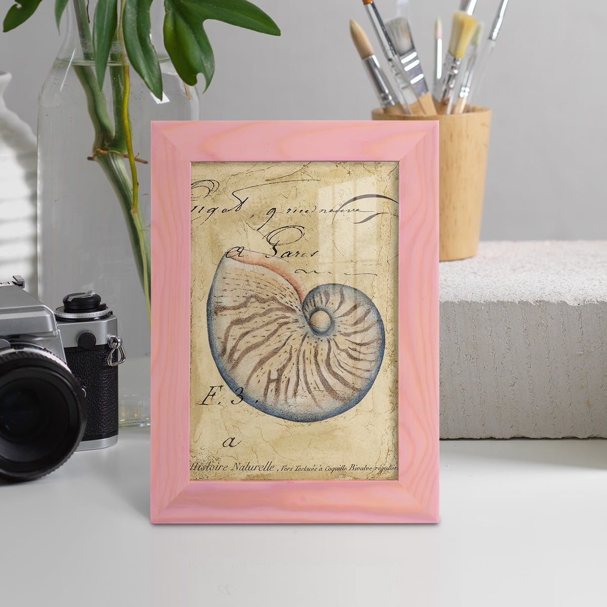 Seashell Ephemera II - Framed Print w/glass - Sunset Pink