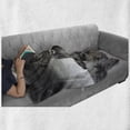 thumbnail image 6 of Black and White Soft Flannel Fleece Throw Blanket, Wild Lioness on Desert Sand Dunes Animal Safari Image Print, Cozy Plush for Indoor and Outdoor Use, 50" x 60", Black White Grey, by Ambesonne, 6 of 6