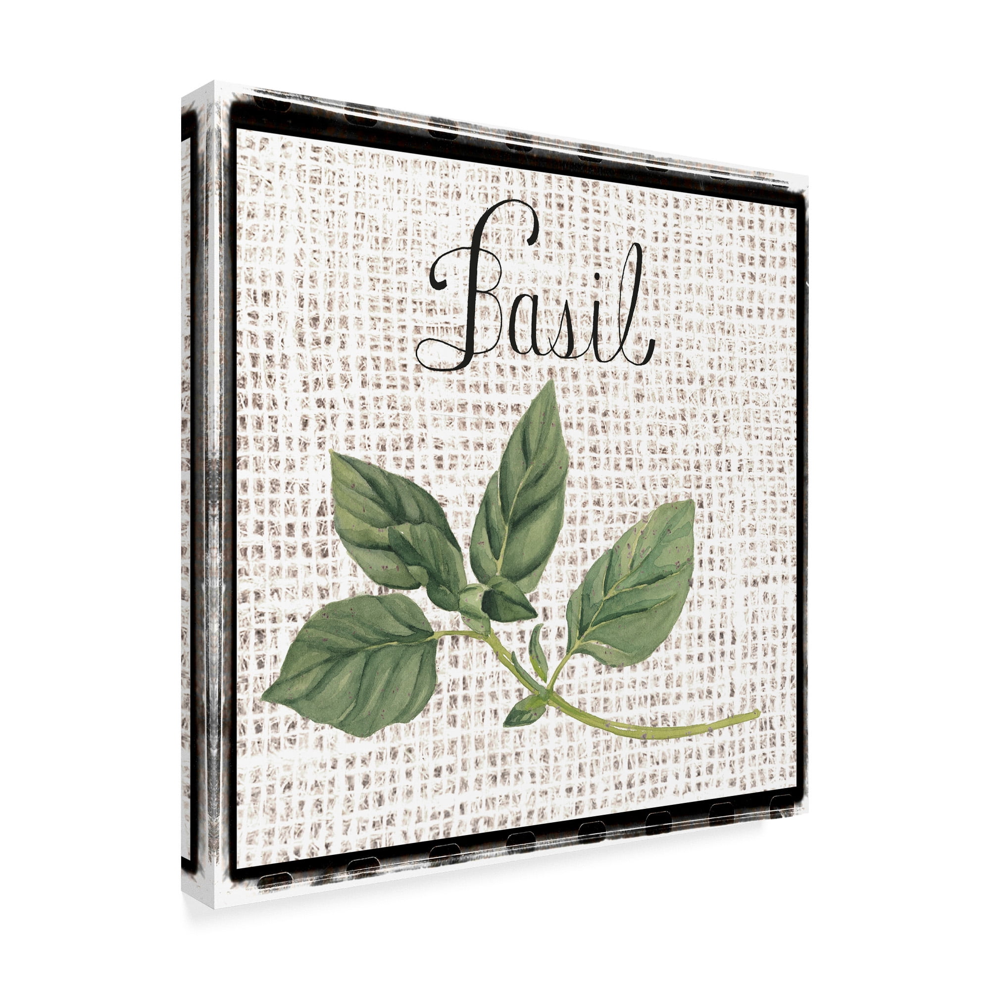 Trademark Fine Art 'Burlap Herbs V' Canvas Art by Grace Popp