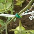 thumbnail image 5 of Wideskall 100 Feet Green Multi-Function Sturdy Garden Plant Twist Tie with Cutter Pack of 2, 5 of 5