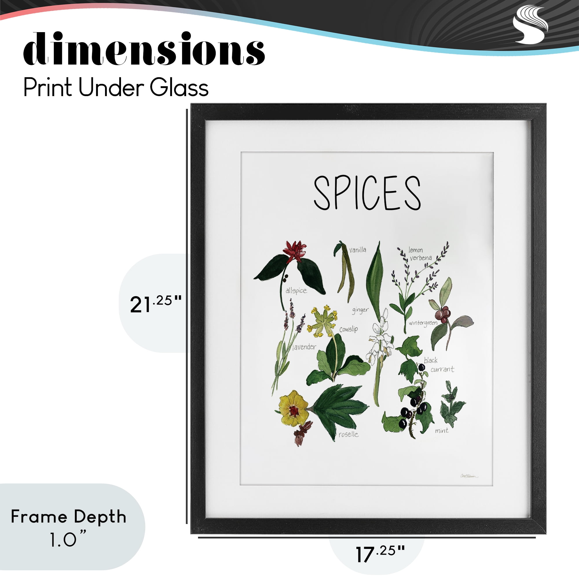 Stupell Industries Spices Identification Chart Black Framed Print Under Glass, design by Carol Robinson