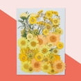 thumbnail image 2 of Flores secas naturales Artesanía en relieve Ramos de flores prensadas Decoraciones florales secas Regalos de suministro de hogar para tarjetas de boda Vela Otoño Monstrate HA010752-05, 2 of 7