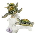 thumbnail image 6 of Marine Sea Turtle Mother And Hatchlings Swimming Over Ocean Reef Corals Statue, 6 of 8