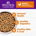 thumbnail image 3 of Complete Health Adult Cat Food - Natural, Grain Free, Chicken & Chicken Meal, 3 of 4