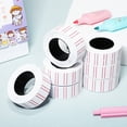 WSTEER 10 Rolls Price Marker Label Stickers Dual Lines Label Stickers