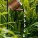 thumbnail image 2 of Luz solar de lata sin riego Lámpara de ducha de gota de agua de arte de jardín (soporte) Ndcxsfigh Para estrenar, 2 of 3