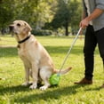 thumbnail image 3 of Dog Outdoor Pooper Scooper Tool, Aluminum Alloy Poop Picker Shovel, No Touch Waste Bag Grabber, Portable Walking Cleanup for Small Dogs, 8.07x1.77x1.57 Inches, 3 of 6
