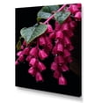 thumbnail image 2 of Designart "Hummingbird with Fuchsia Flowers I" Floral Canvas Wall Art - Traditional Pink Fuschia Entryway Wall Art Print, 2 of 6