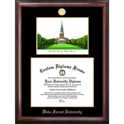 University of Texas, San Antonio 11" x 14" Gold Embossed Diploma Frame with Campus Images Lithograph