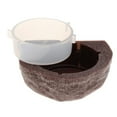 thumbnail image 3 of STARTIST Mini Gecko Feeder Ledge Reptile Terrarium Decor. Feeding Bowl Brown, 3 of 9