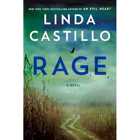 Pre-Owned Rage (Hardcover) by Linda Castillo