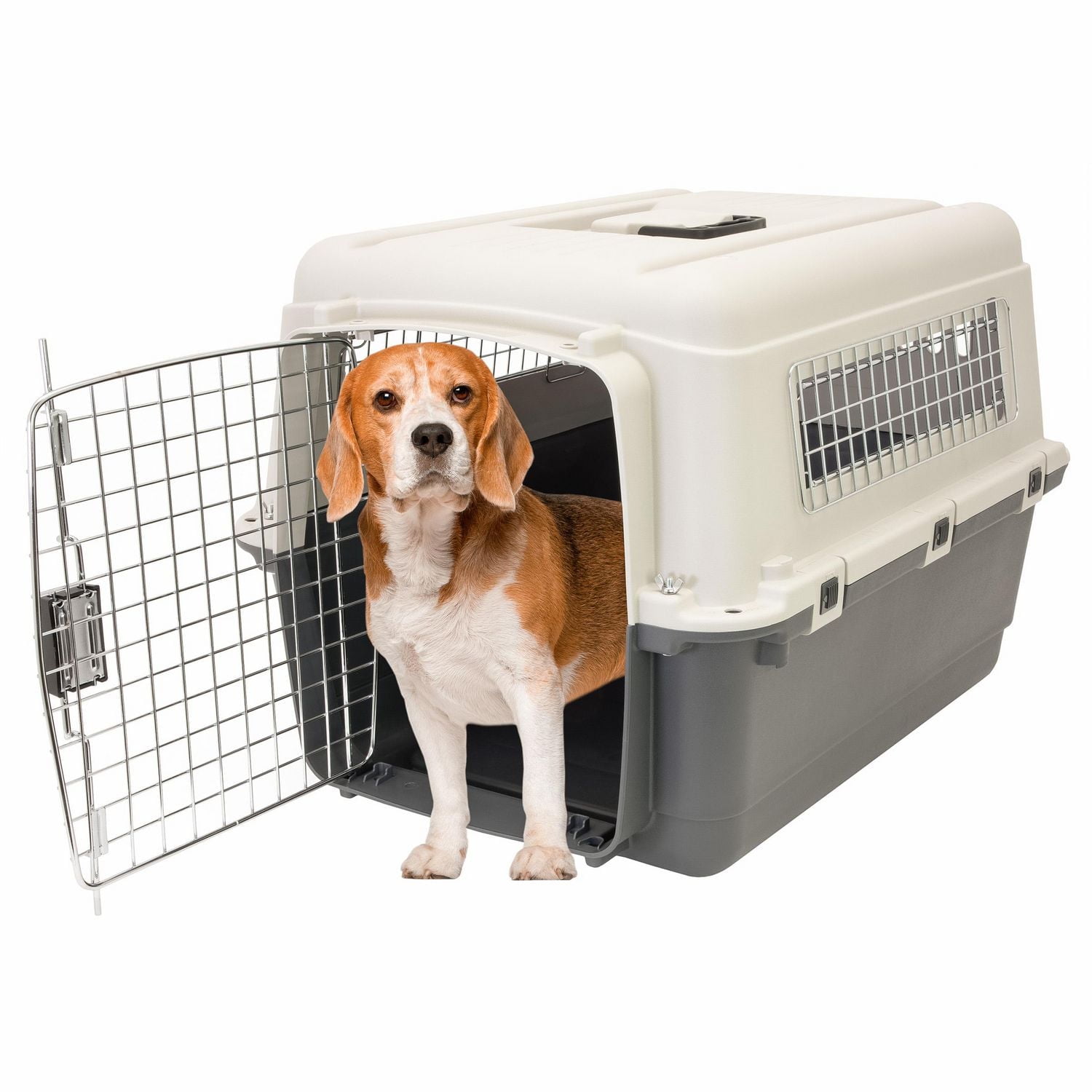 What is a Dog Kennel: Ultimate Guide to Safe & Cozy Spaces