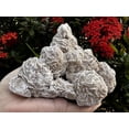 thumbnail image 4 of Large Desert Rose Cluster, Natural Desert Rose Selenite Stones, Desert Gypsum Rose, Raw Selenite Rose Crystal, Rose Rock, Sand Rose (4-5 lbs), 4 of 8
