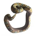 thumbnail image 1 of Maojin Toy Story Juguetes 7 Piezas Pulsera de Serpiente de Juguete Pulsera de Serpiente de simulación de PVC Pulsera de Serpiente Falsa Juguetes de Broma Juguetes traviesos aterradores, 1 of 3