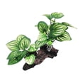 thumbnail image 3 of Plantas artificiales para , decoración de pecera, paisajismo, escondites de peces, decoración de , plantas artificiales para terrario de, 3 of 8