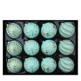 thumbnail image 5 of European Style Christmas Ball Ornaments, 8 cm Textured Baubles in Gift Box, Multicolor Xmas Hanging Decorations for Tree and Home - Mint Green, 5 of 6