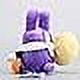 thumbnail image 4 of Super Mario Mario Plush Toy Doll Purple Invisible Thief Rabbit Mushroom Seeds, 4 of 6