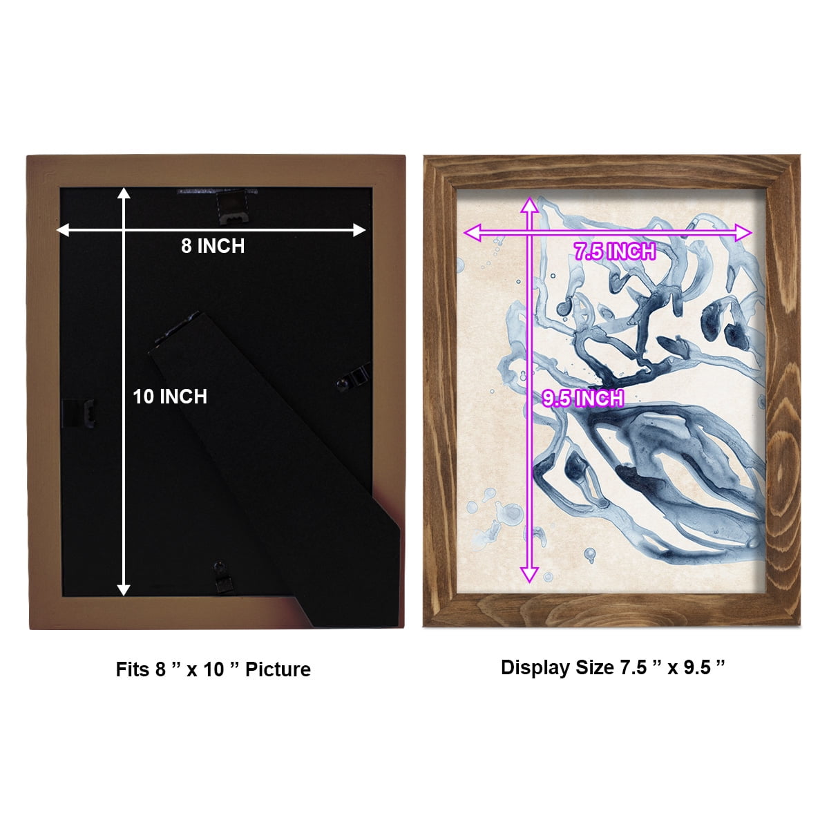 Water Shells II - Framed Print w/glass - Walnut