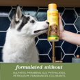 thumbnail image 4 of Natural Hemp Lavender Dog Shampoo - Calming Formula with Hemp Seed Oil - pH Balanced, 16 Fl Oz, 4 of 4