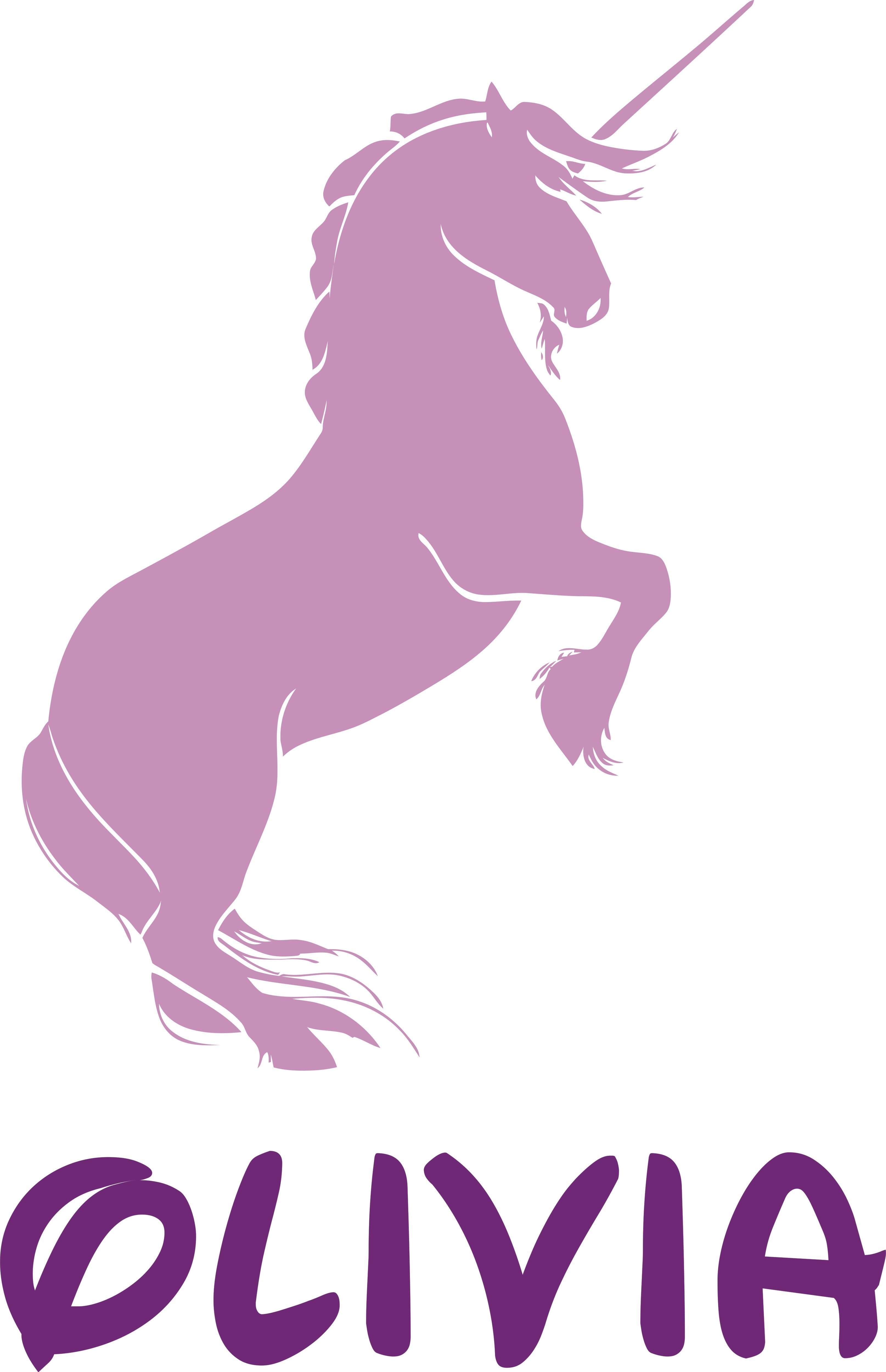 Unicorn Unicorns Horse Sparkle Customized Wall Decal Custom Vinyl Wall Art Personalized Name