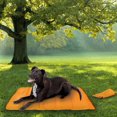 thumbnail image 1 of Pet spaces 40x30 Po Tapis de Voyage pour Chien, 1 of 3