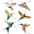thumbnail image 2 of Pegatinas Anticolisión Para Ventana, Pegatinas Para Ventana De Colibrí Para Uso En Vidrio De Puerta 6 Uds, Monstrate HA036376-00, 2 of 6