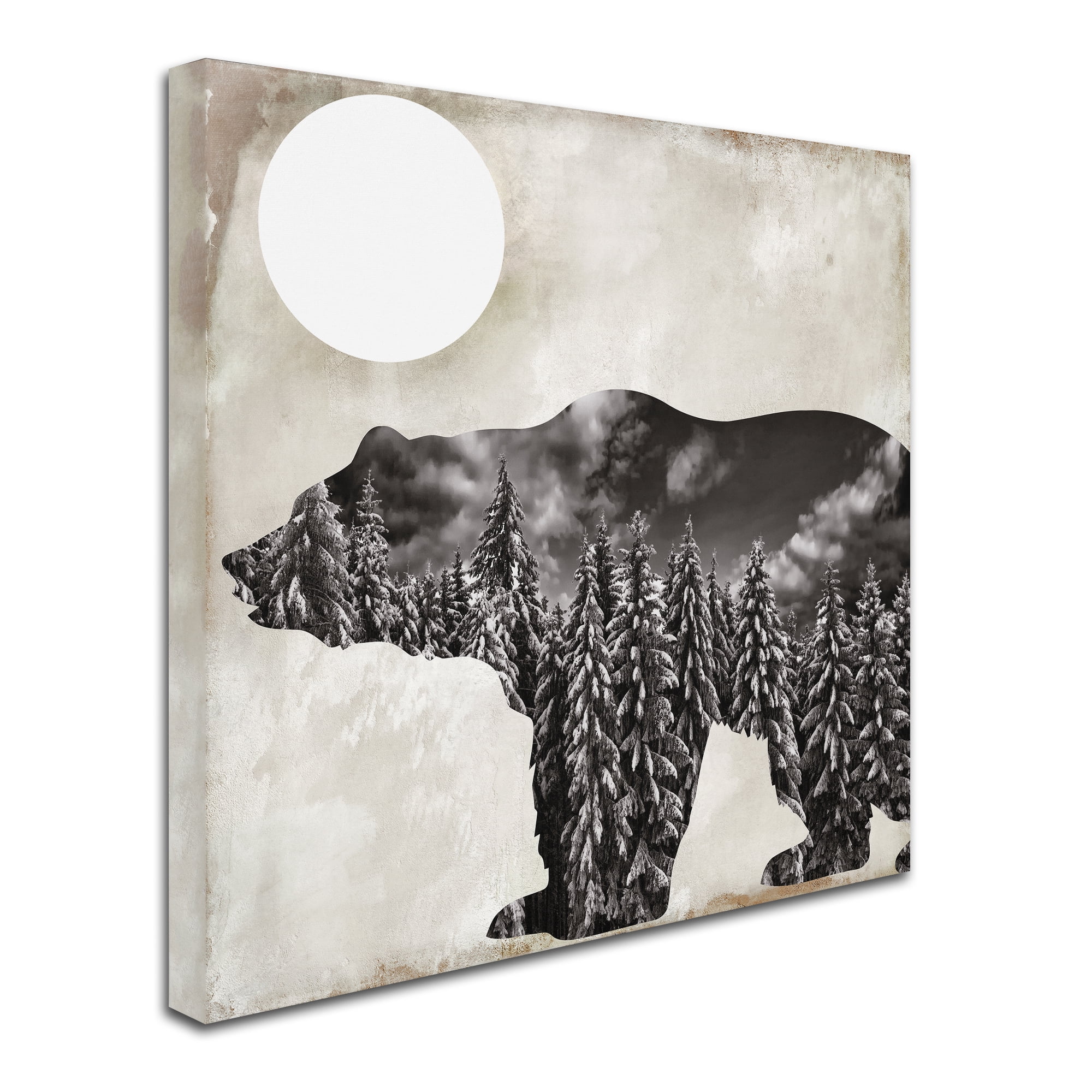 Trademark Fine Art "Going Wild VI" Canvas Art by Color Bakery